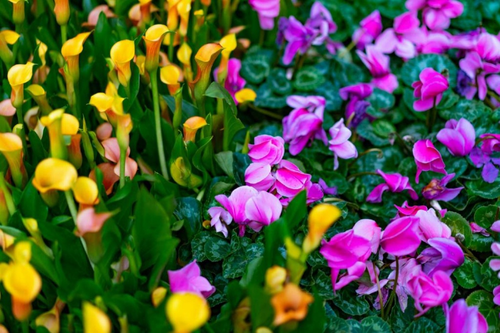 Extended Stay America Suites - Las Vegas - Valley View